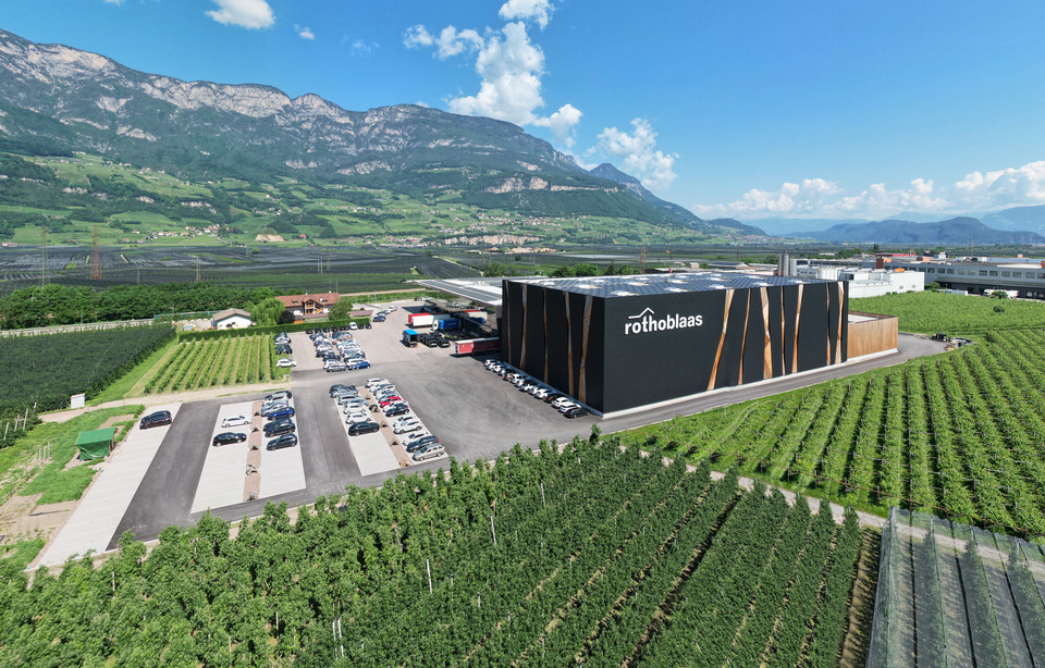 CORSO DI QUALIFICAZIONE DEL CARPENTIERE